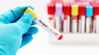 CE Disetujui Dengue Ns1 Antigen Test Kit Antibody Kaset Tes Cepat